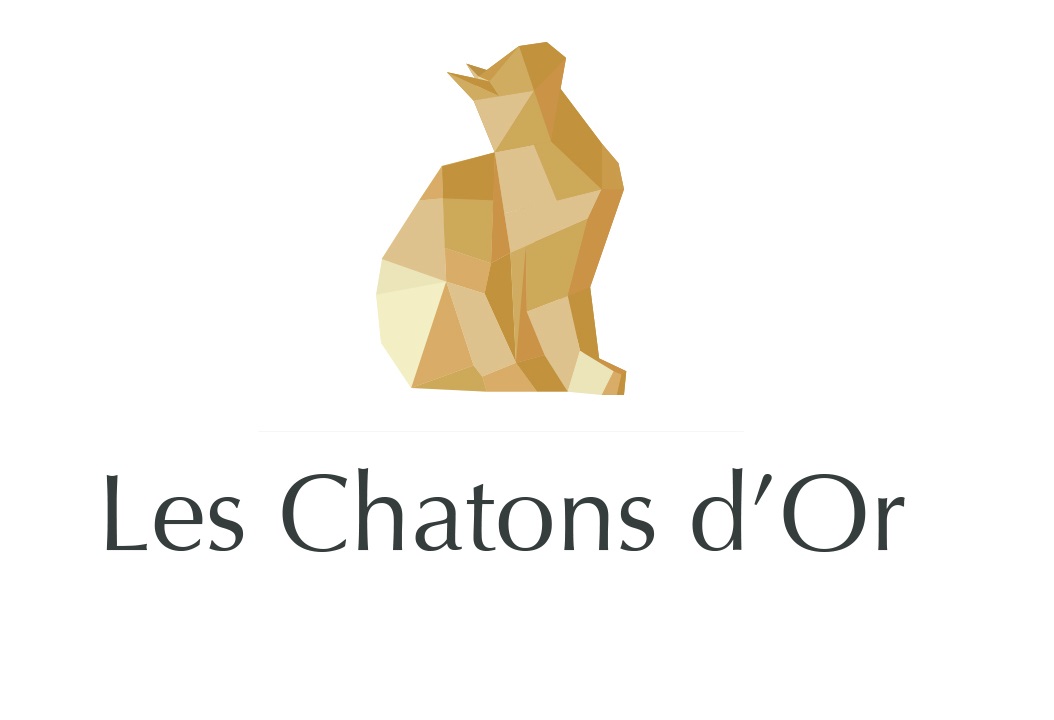 Les chatons d'Or 2017 sont